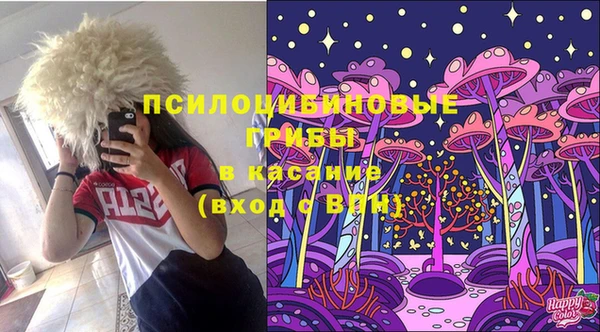 эйфоретик Баксан