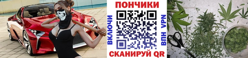 Конопля индика  Михайловск 
